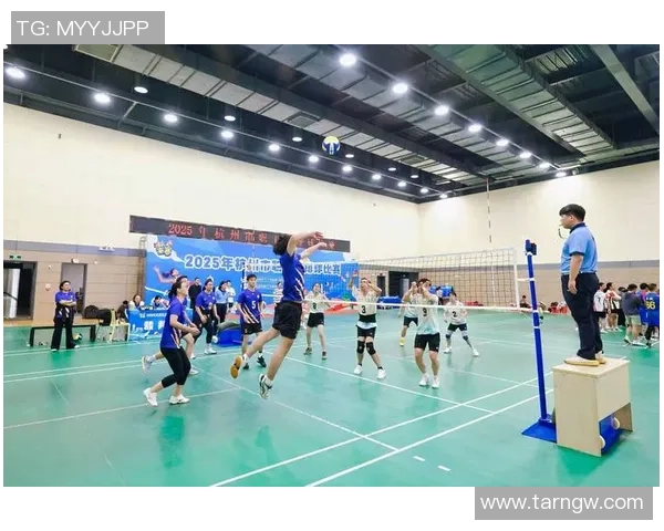 杭州排球队勇夺第八名排球耐力排行榜引发热议